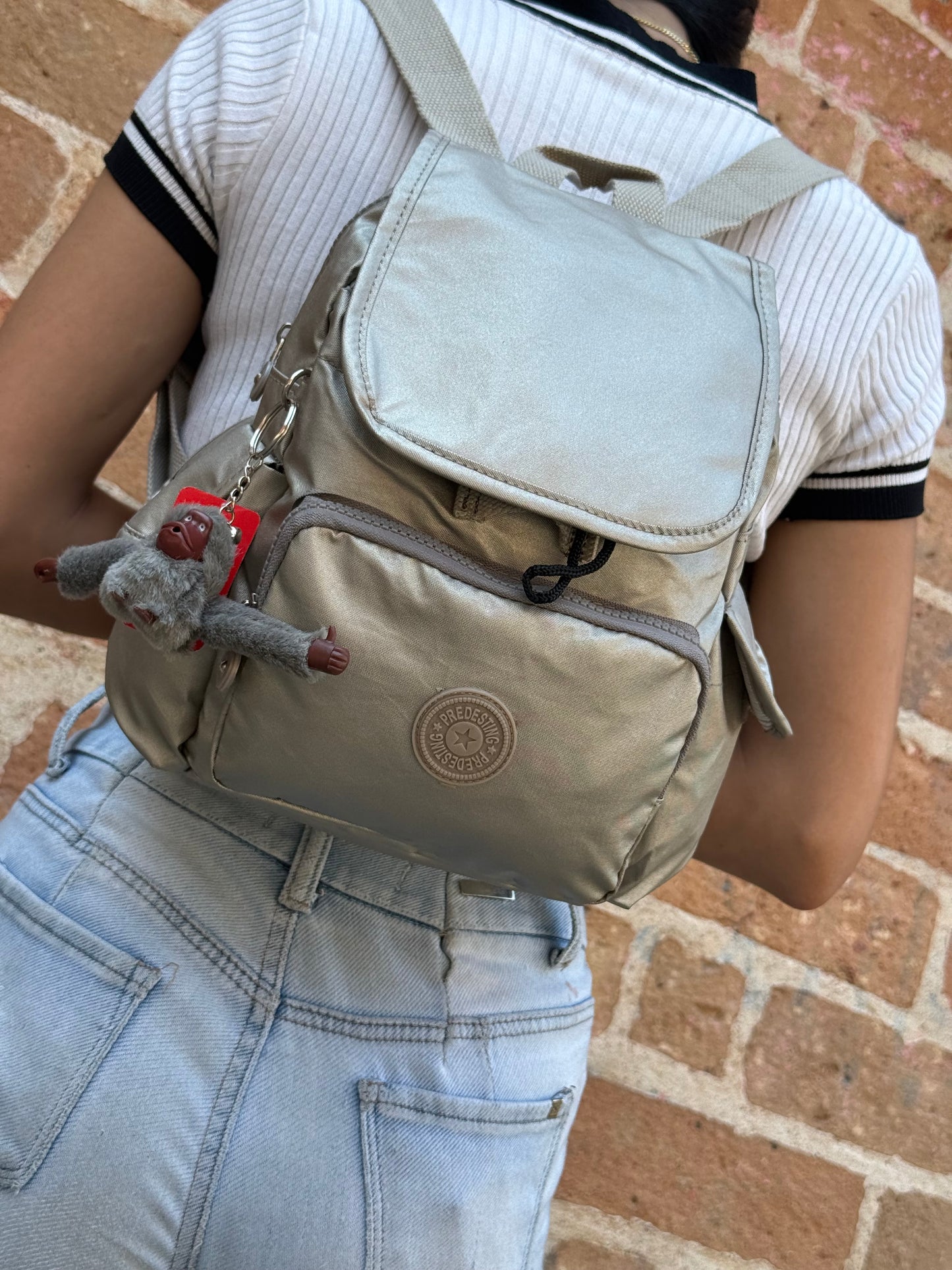 Morral Metalizado Tapa  Predesting