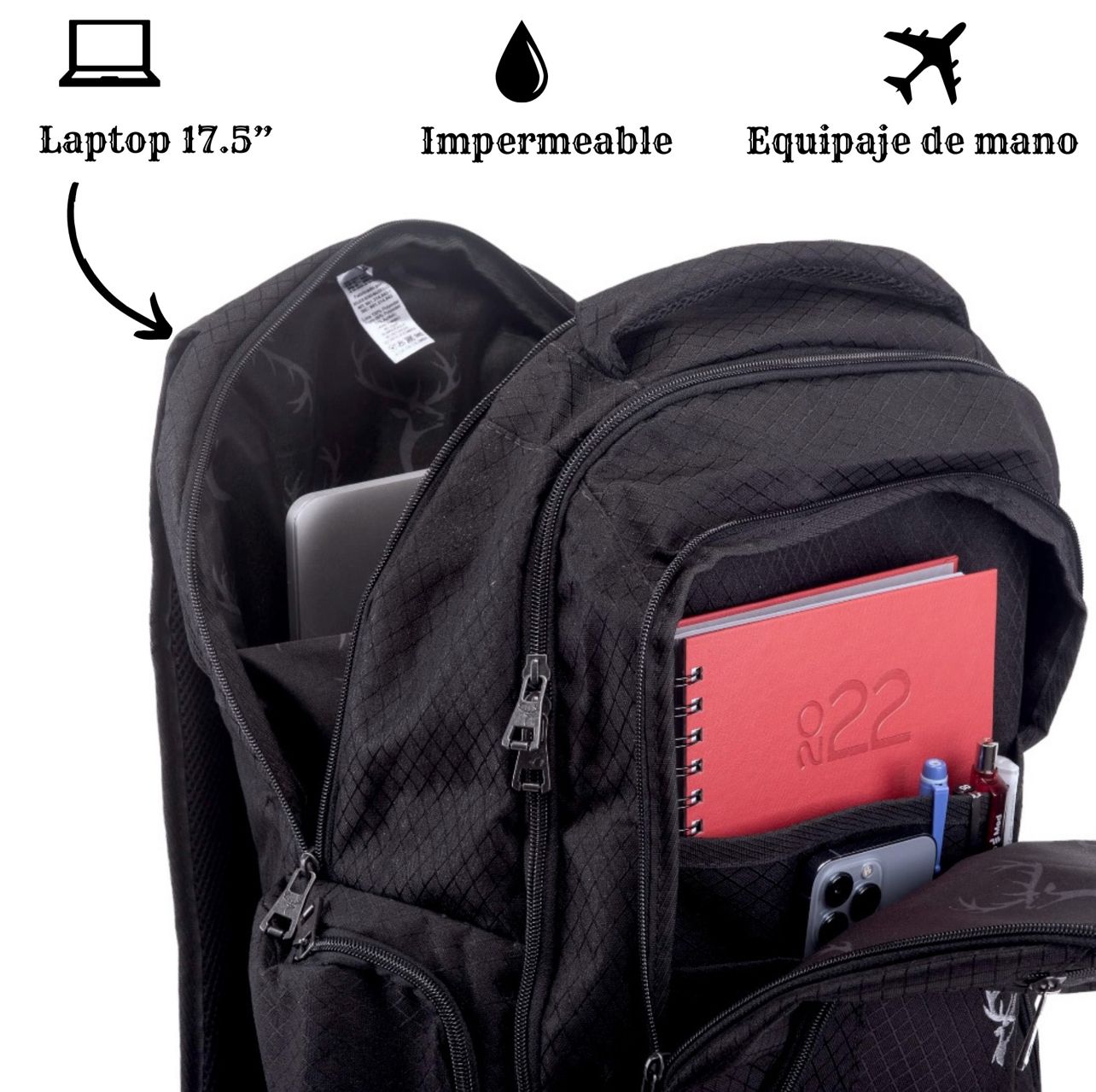 Morral Reno 2